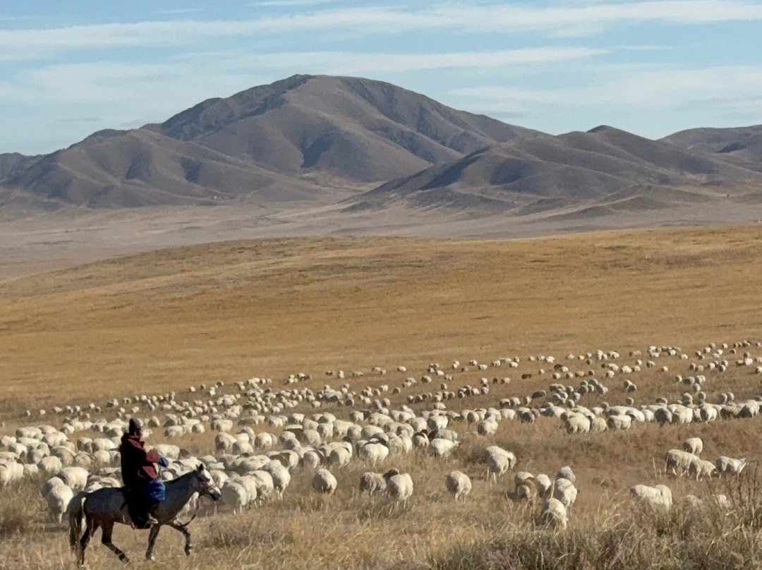 Discover Mongolia Travel-乌兰巴托必去景点