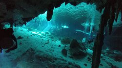 ProRec Dive Center景点图片