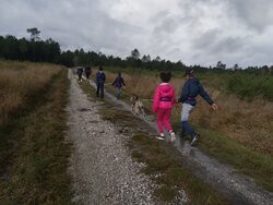 Mush Gironde Balades en chiens de traineau景点图片