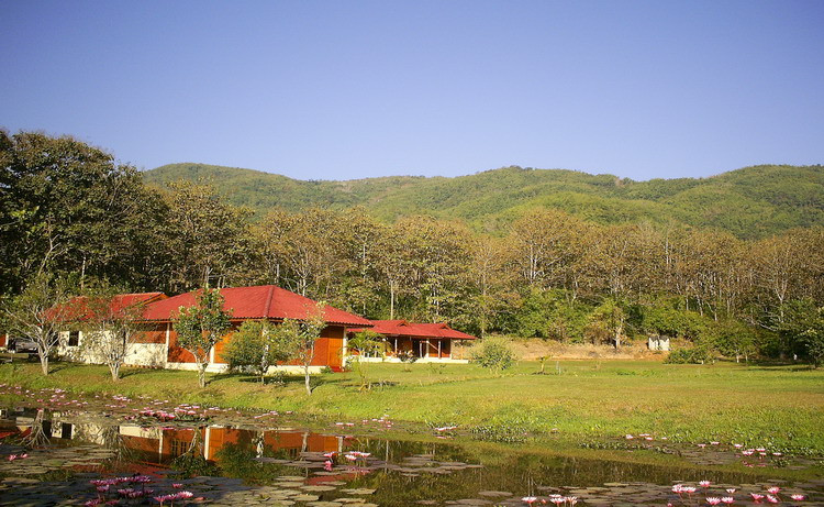 Nok's Garden Resort