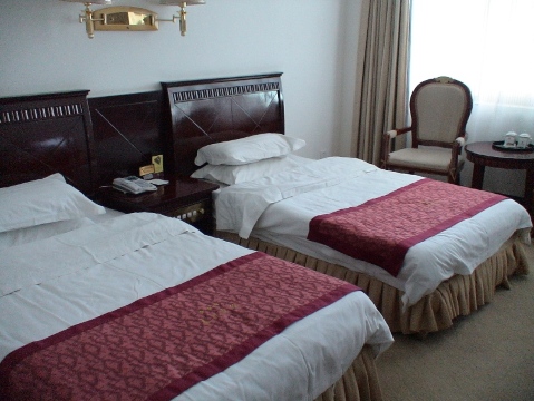泰兴宾馆-客卧