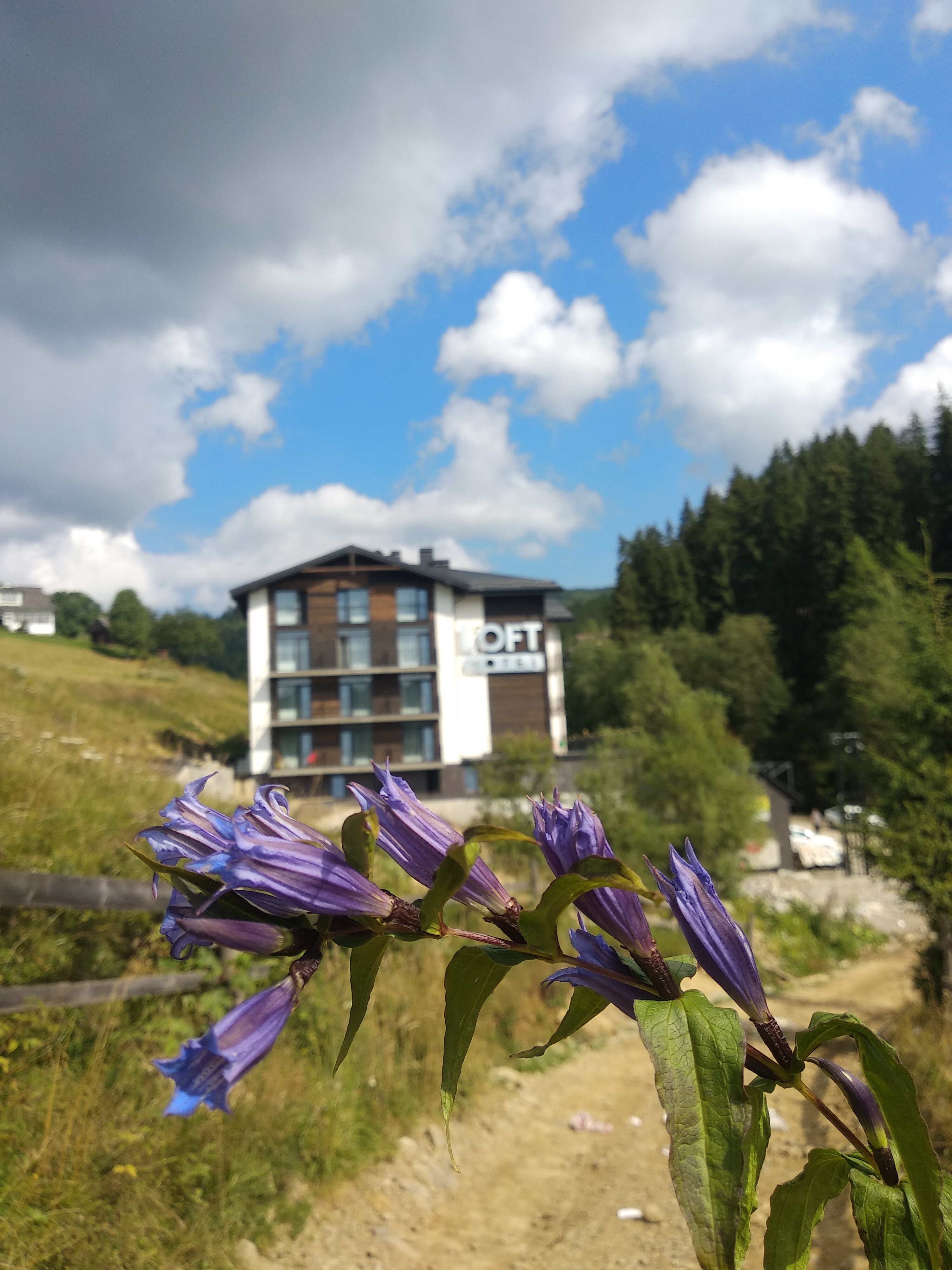 Loft Hotel-官方