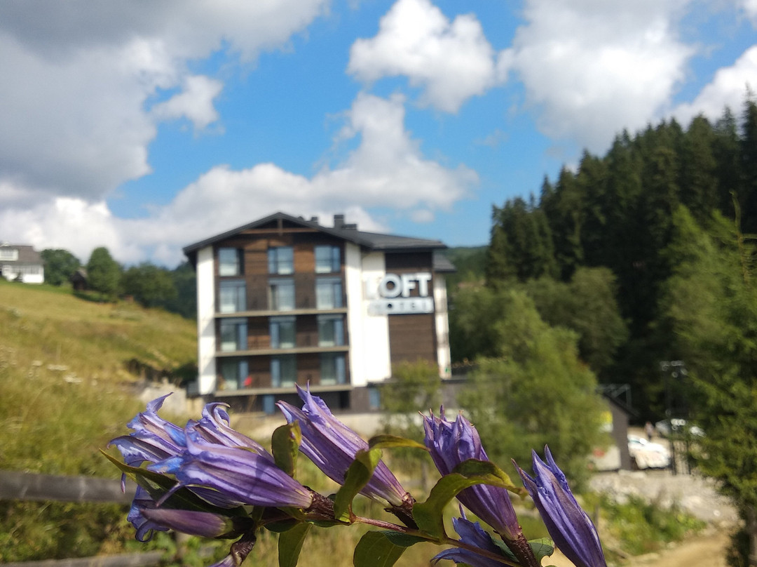Loft Hotel