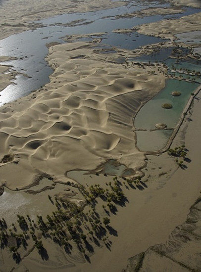 罗布泊地区湿地-若羌县必去景点