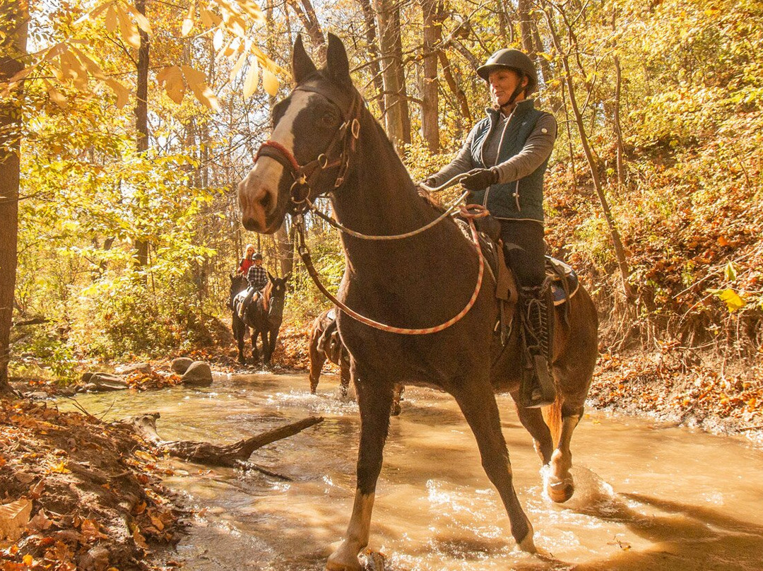 Crown Haven Center-Russiaville必去景点