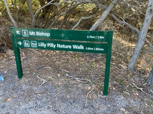 Lilly Pilly Gully景点图片