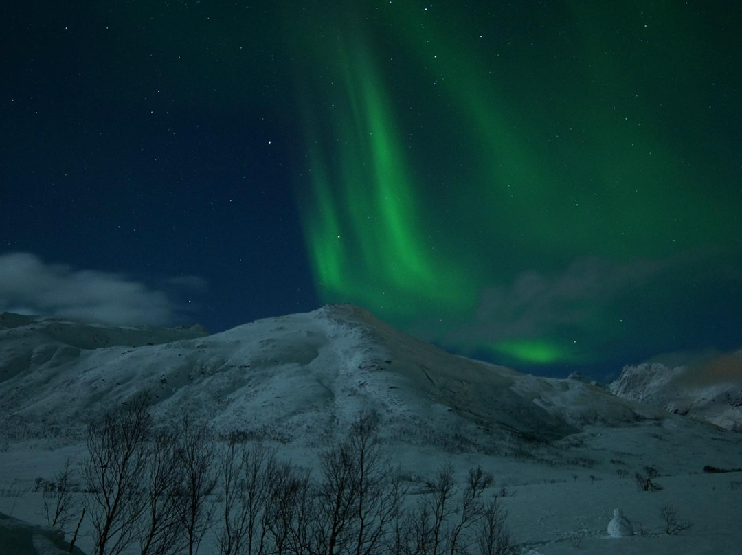 Amazing Aurora - Karlsøy Buss景点图片