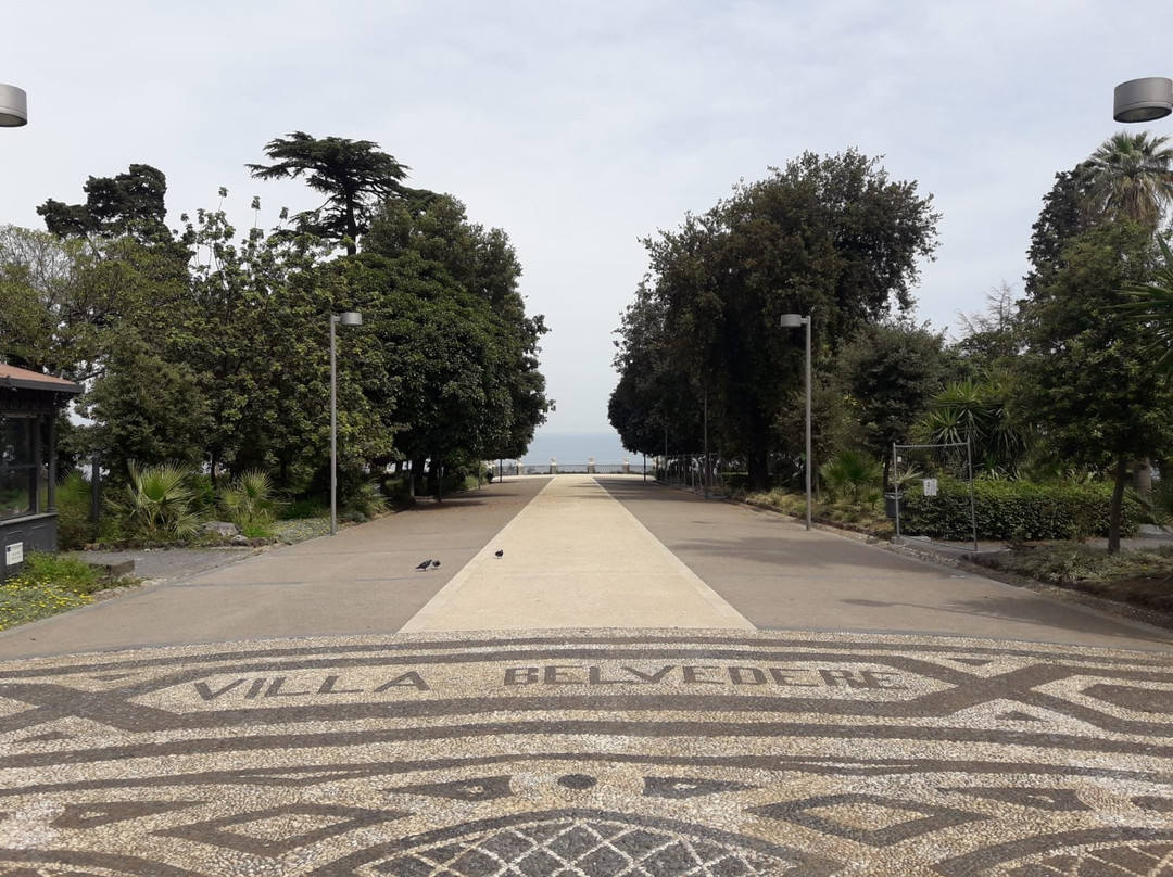 Villa Belvedere景点图片