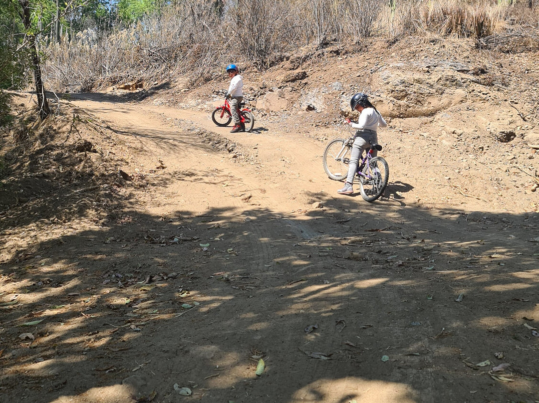 Romax Parque Ecoturistico