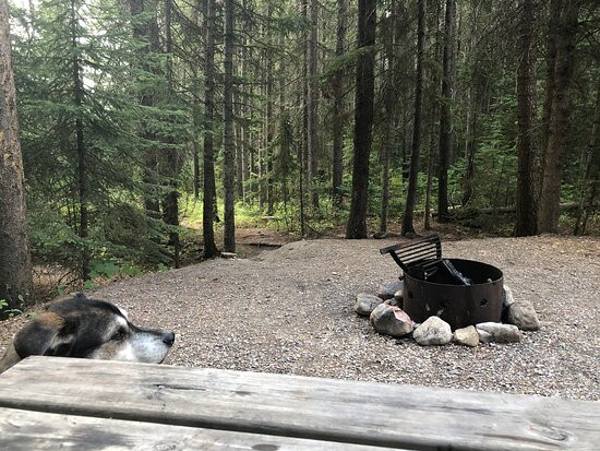 Chinook Lake Campground景点图片