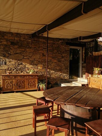 Tomas Barqueiro主图