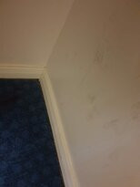 Travelodge Canterbury Whitstable主图