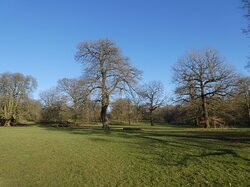 Alfreton Park景点图片
