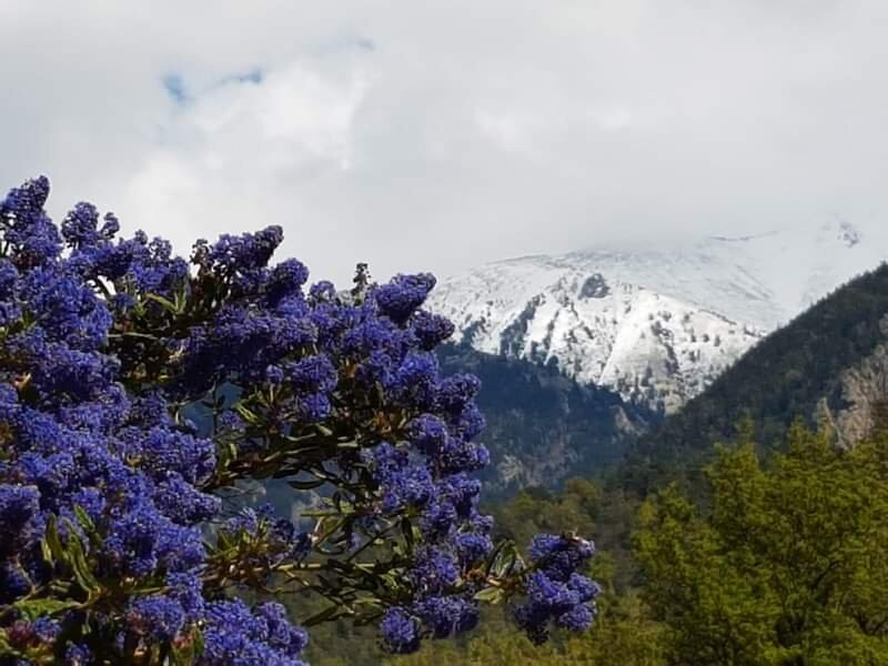 Camping Les Cerisiers