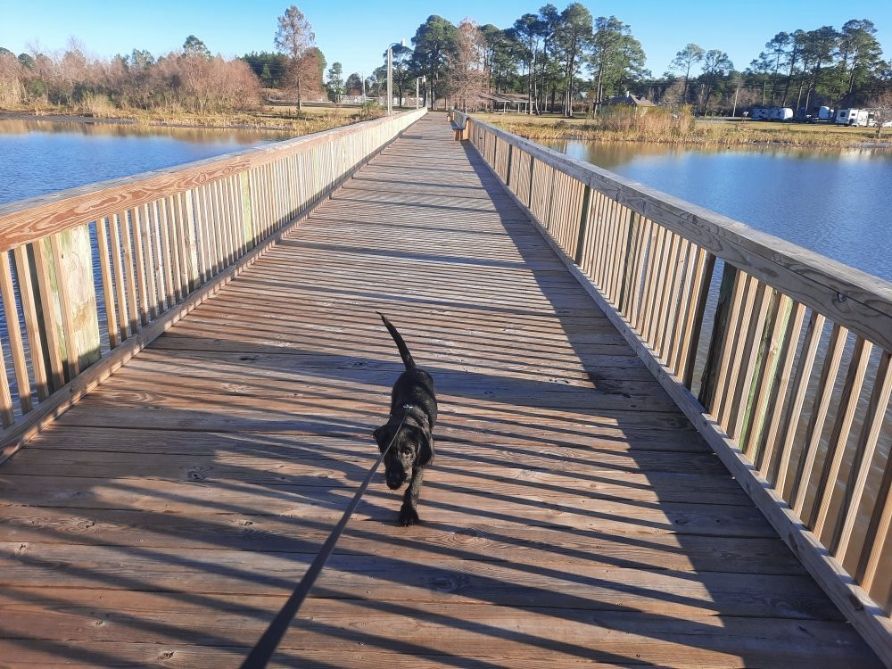 Meaher State Park-Spanish Fort必去景点