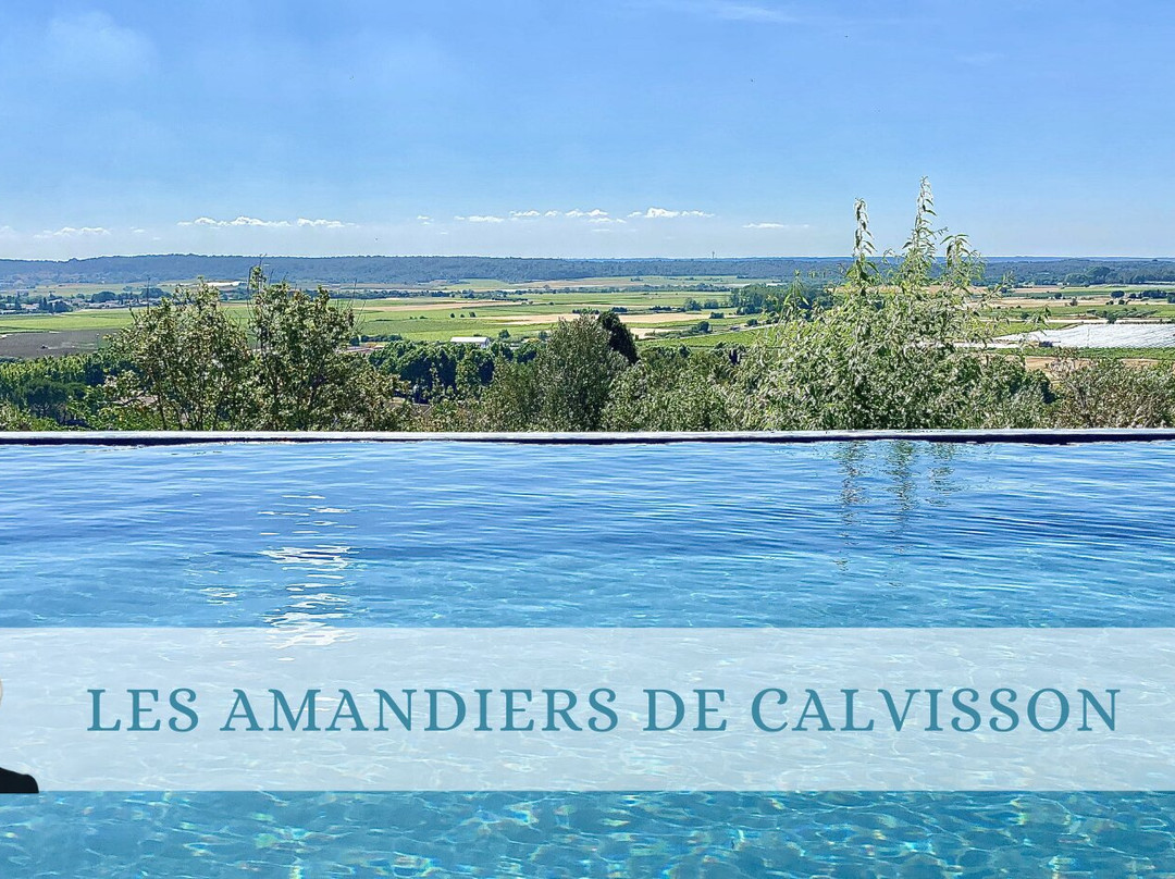 Calvisson酒店住宿-Les Amandiers de Calvisson