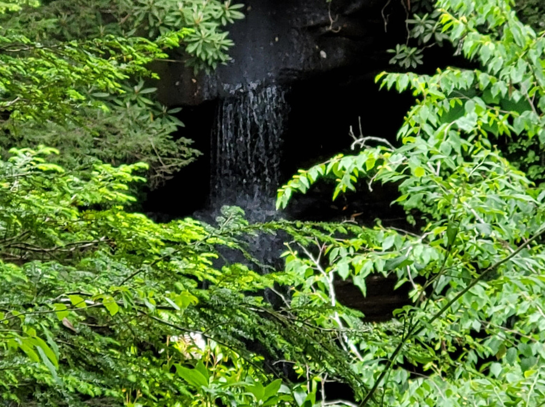 Vanhook Falls景点图片