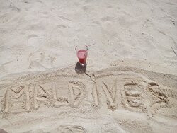 Gurus Maldives主图