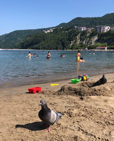 Amasra Diamond Hotel主图