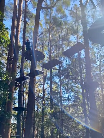 Treetops Adventure Coffs Harbour-科夫斯港必去景点