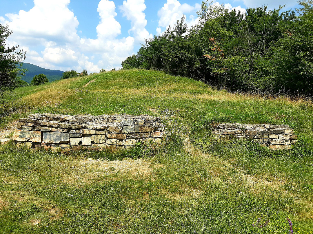 Dacian Fortress景点图片