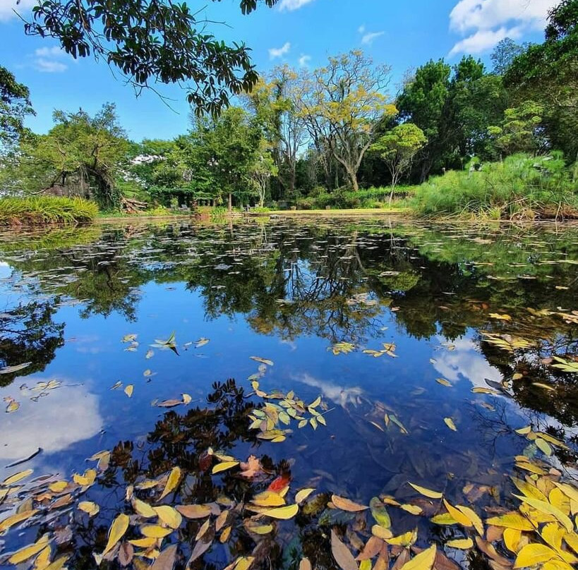 Kings Walden Garden Manor主图