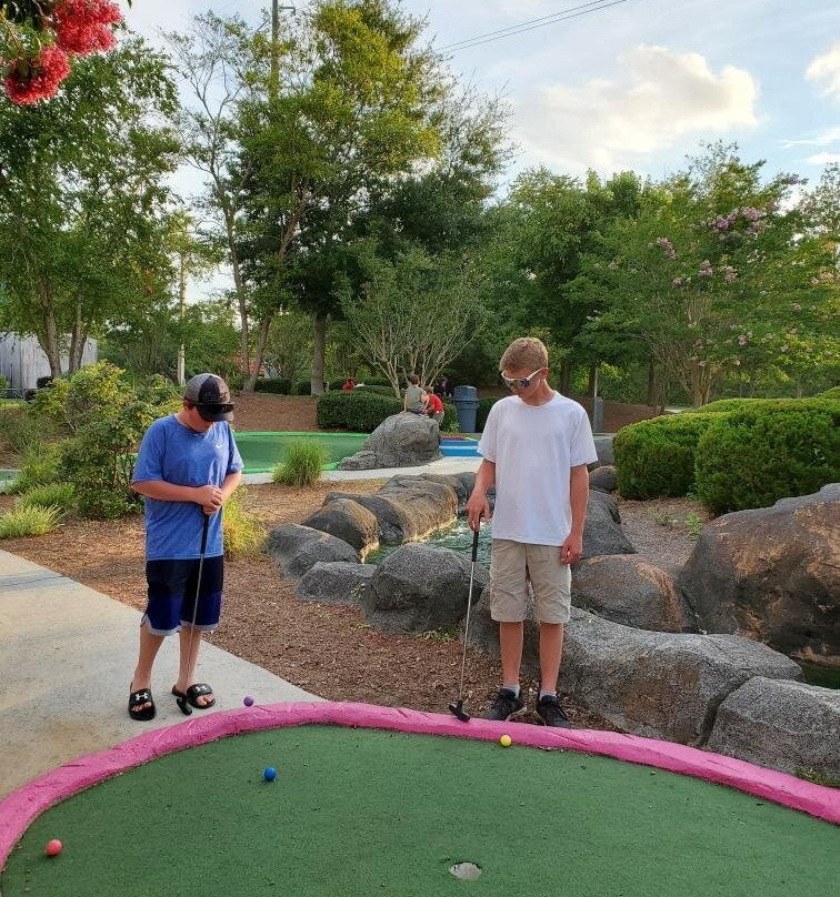 The Golfin Dolphin景点图片