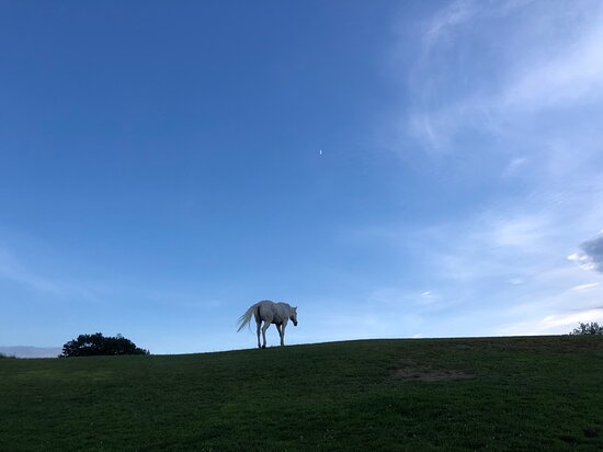 Clover Hill Farm-酒店景观