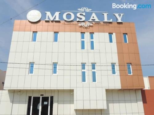 Hotel Mosaly