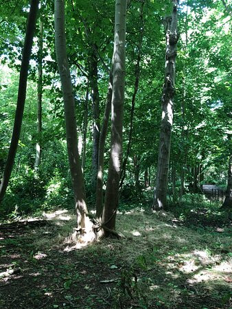 Nature Reserve de Manteling-Oostkapelle必去景点