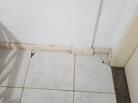 Macuco旅游攻略图片