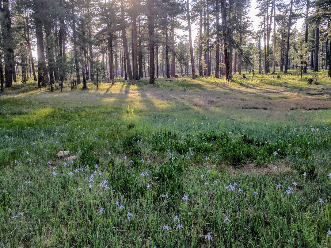 Sinkhole Campground