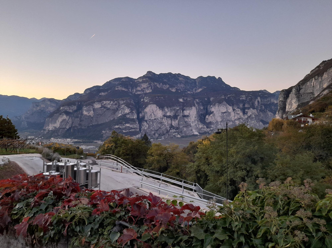 Azienda Agricola Pojer e Sandri