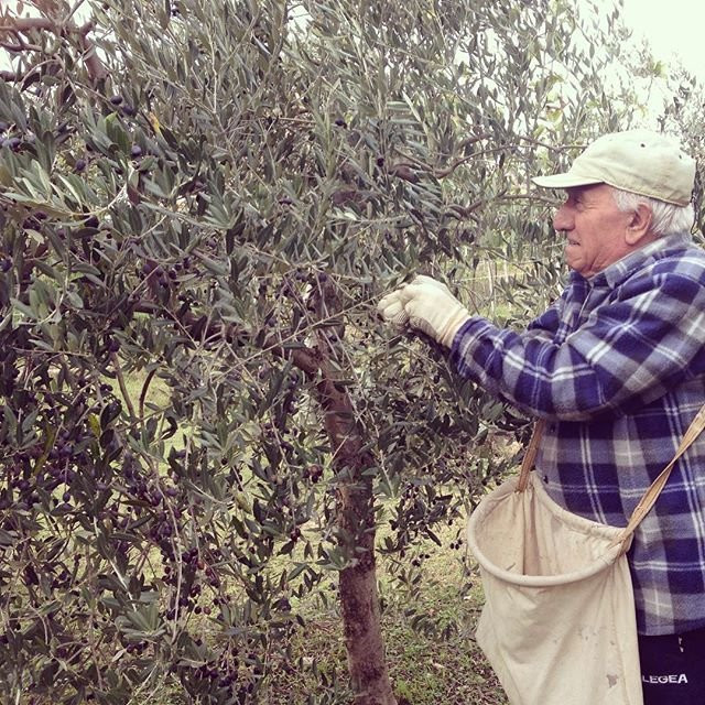 Casa de' Trinci B&B主图