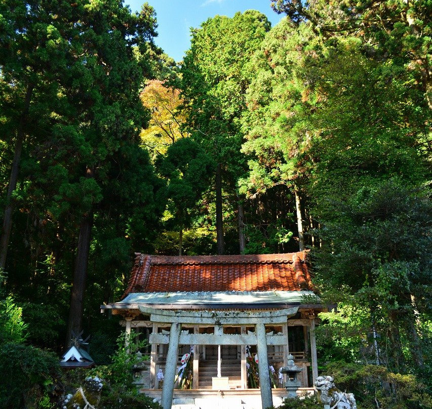 Takamahiko Shrine景点图片