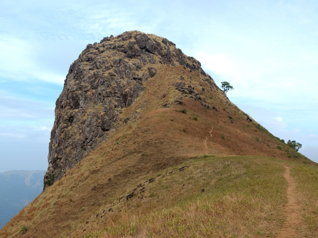 Chikkamagaluru District旅游攻略图片