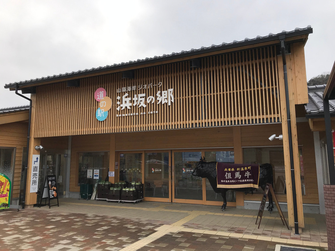 Michi-no-Eki Saninkaigan Jiopark Hamasaka no Sato