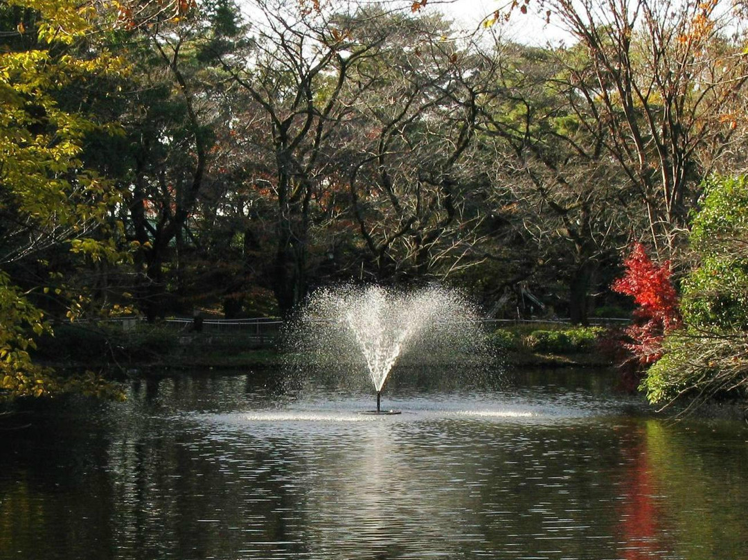 Wadabori Park景点图片