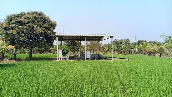Greenic Farms景点图片