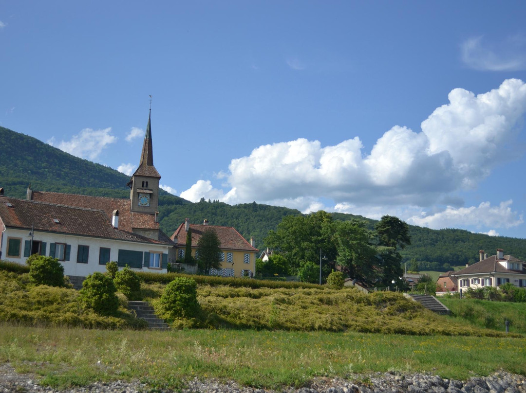 Concise旅游攻略图片