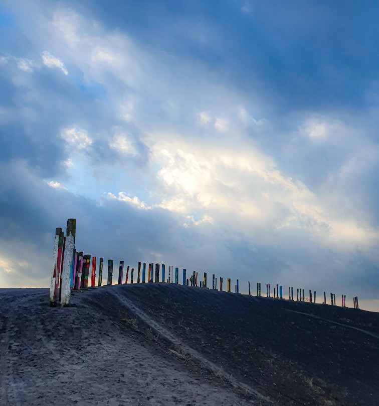 Halde Haniel (185m)景点图片