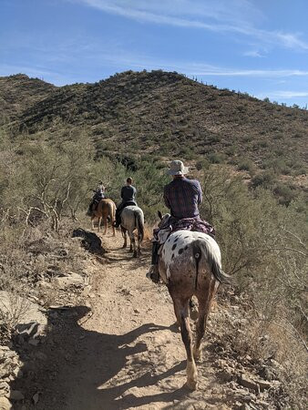 Cave Creek Trail Rides景点图片