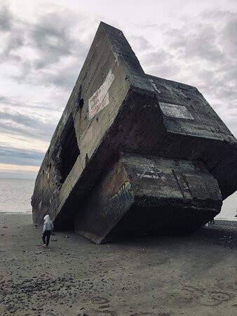 Plage De Cayeux景点图片