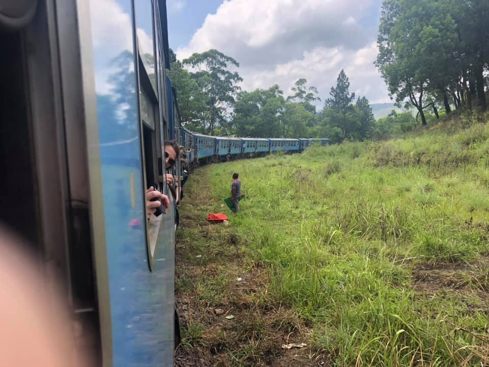 Train Tours景点图片