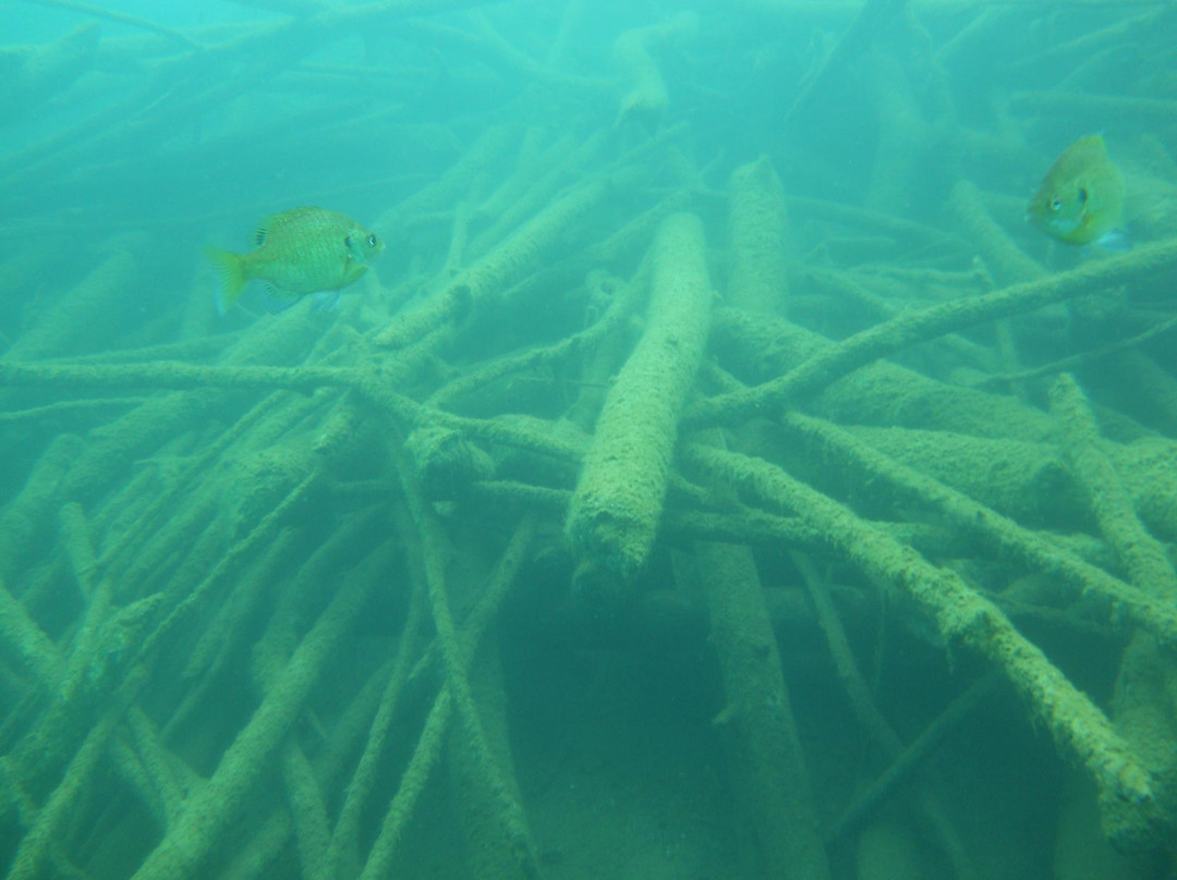 Cuyuna Mine Pits-Brainerd必去景点