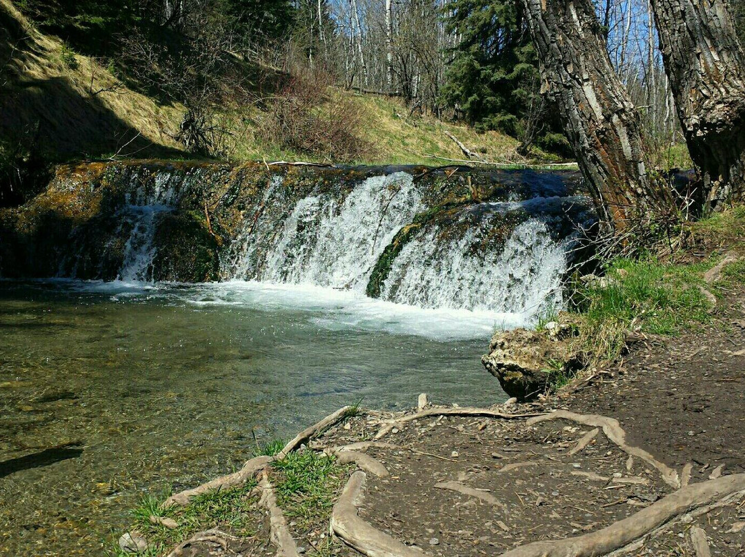 Big Hill Springs Provincial Park景点图片