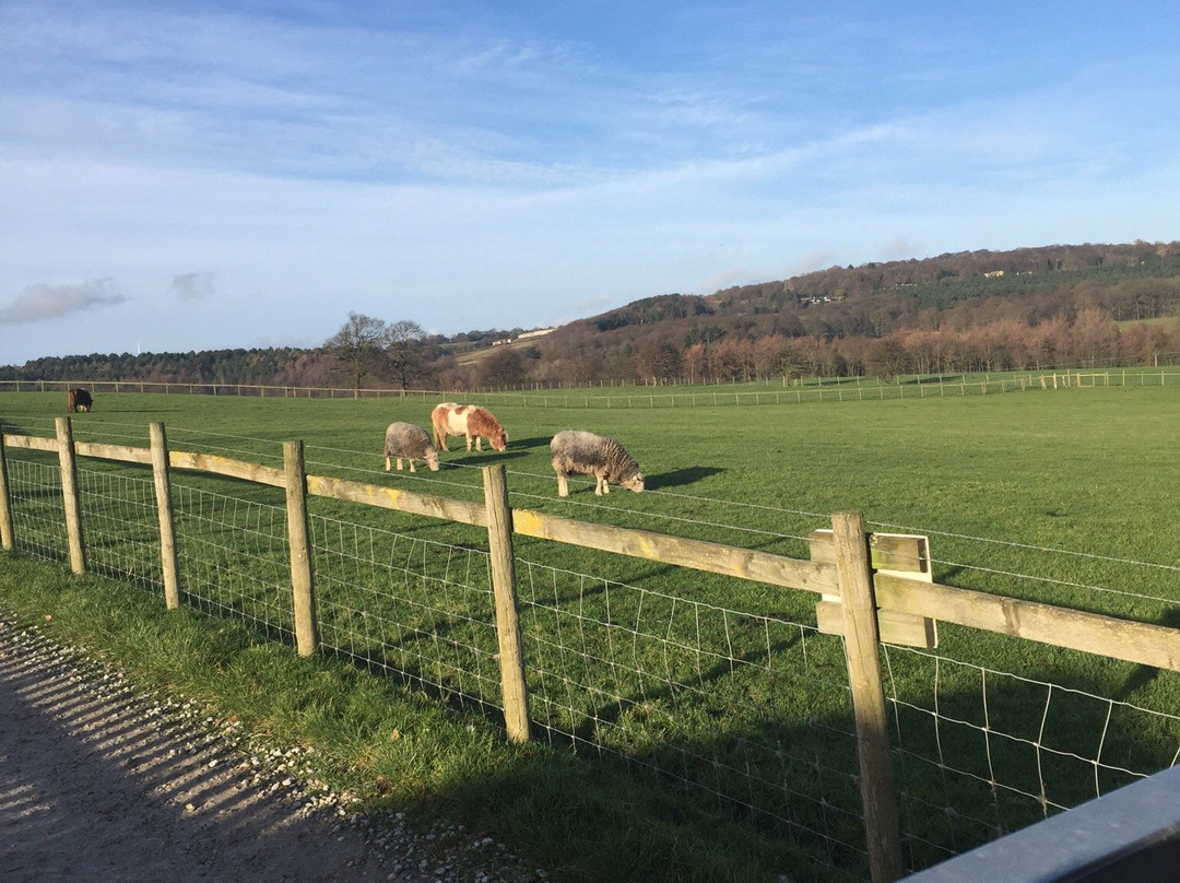 Cawthorne旅游攻略图片