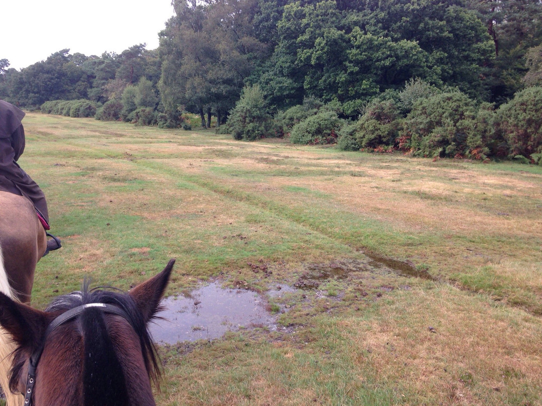 Burley Manor Riding Stables景点图片