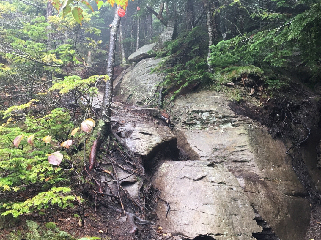 Indian Head Mountain-Elka Park必去景点