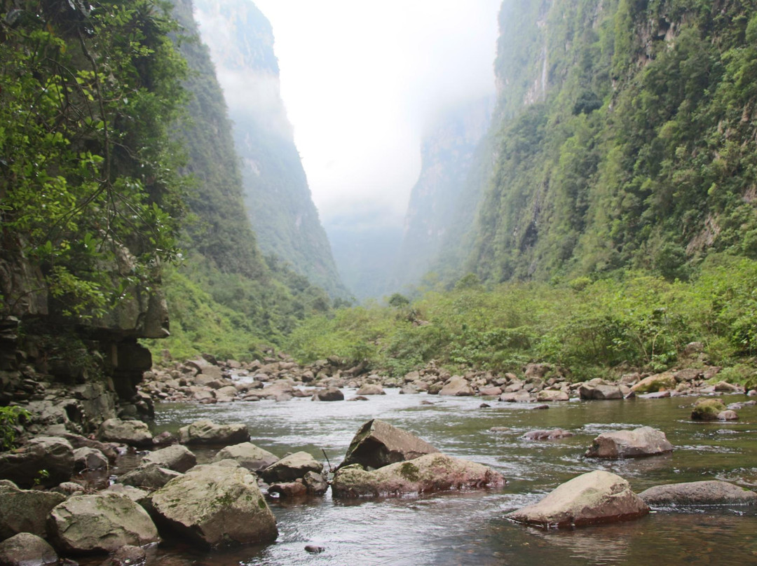 Praia Grande旅游攻略图片